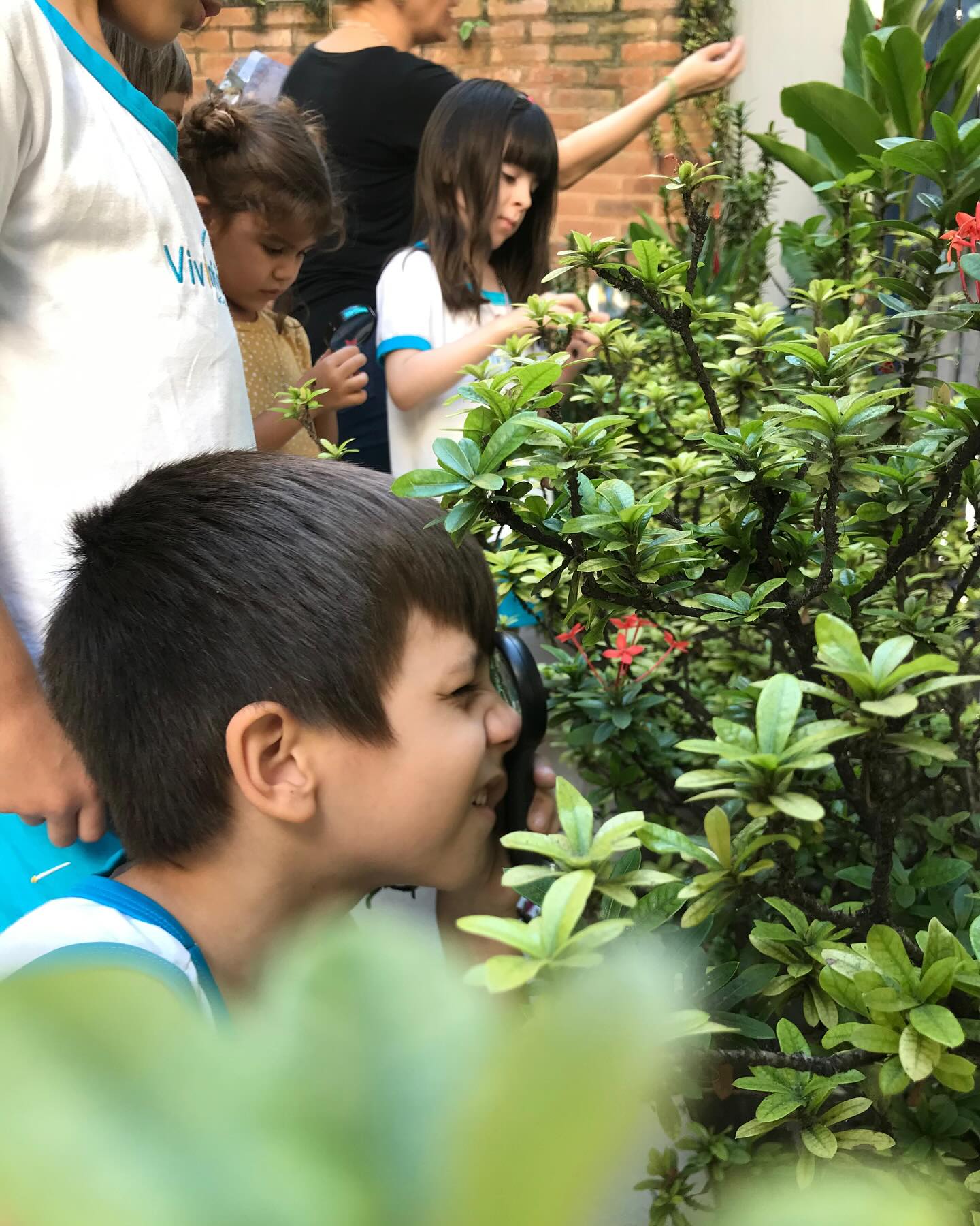 Crianças explorando o jardim